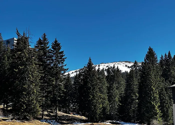 Konaci 25 Kopaonik